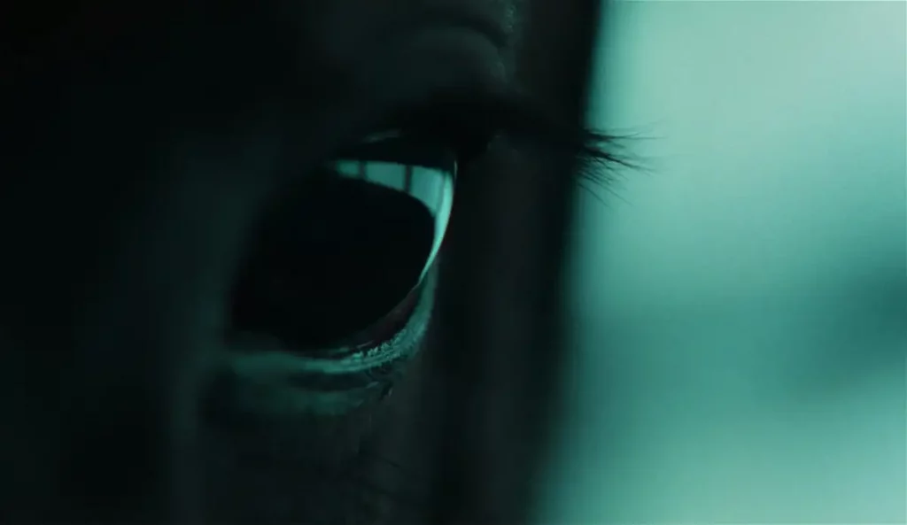 Primer plano del ojo oscuro y brillante de un caballo, con el reflejo distorsionado del entorno en la pupila.